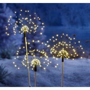 Weltbild LED Zahradní zápich Magické květy