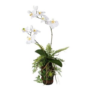 Gasper Umělá květina Orchidejové aranžmá s kapradinou, 57 cm