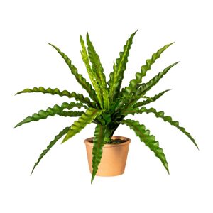 Gasper Umělá rostlina Kapradí, 45 cm