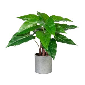 Gasper Umělá rostlina Anturie, 40 cm
