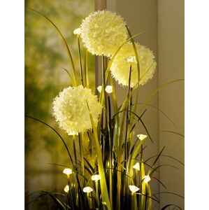 LED kvetinová dekorácia Allium