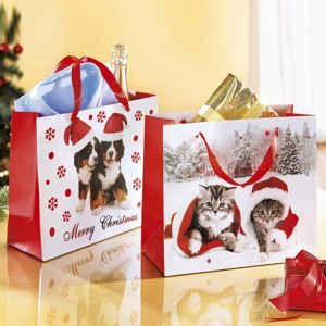 Darčeková taška mačiatka
