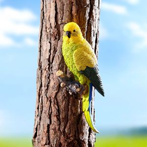 Papagáj Benni na strom