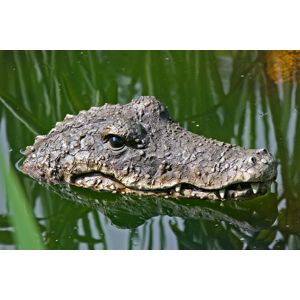Vodná dekorácia Krokodíl
