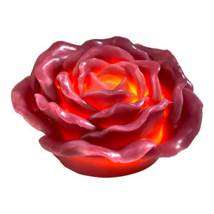 LED ruže 2v1