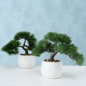 Umelý bonsai, 2 kusy