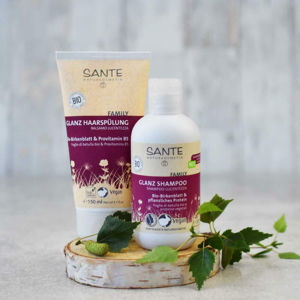 SANTE Family Šampón na lesk BIO Brezovej lístky a rastlinné Proteíny 200 ml