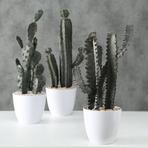Umelá rastlina Kaktus, súprava 3 ks