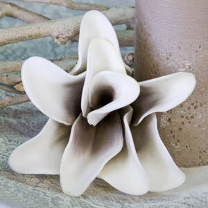 Dekoračná Penová kvetina Rumba, bielobéžová