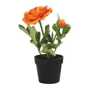 Umelo kvet Iskerník, oranžový