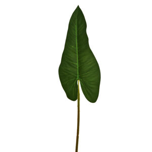 Umelo list Filodendron