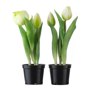 Umelo tulipán v kvetináči, krémovo biela