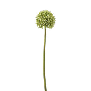 Dekoračné umelé cesnak, farba zelená, 58 cm