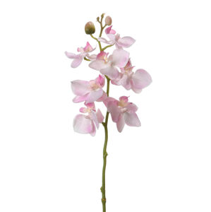 Umelá orchidea Phalean, svetlo ružová
