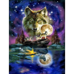 Diamantové maľovanie Vlk, 40 x 50 cm