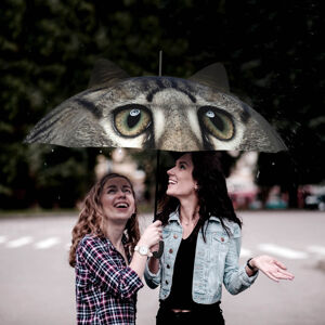 Dáždnik s ušami Mačka