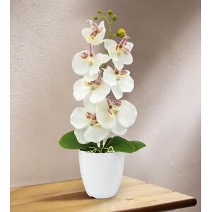 Dekoračné umelé orchideá, biela