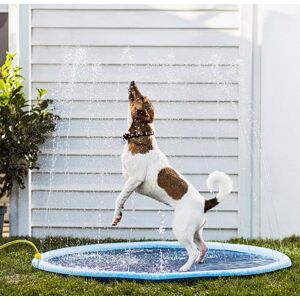 Striekacia vodná hracia podložka pre psov